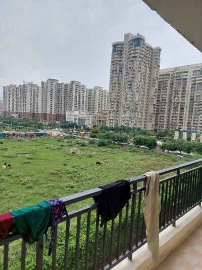 3bhk Fully furnished flat for rent sector 77  Available  in Royal city max