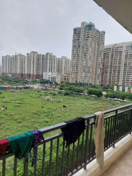 3bhk Fully furnished flat for rent sector 77  Available  in Royal city max-1