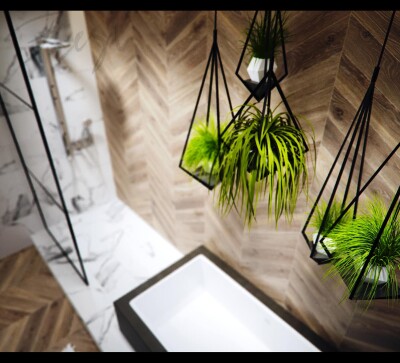 Interior design project for Private House
