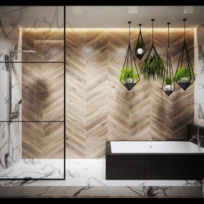 Interior design project for Private House