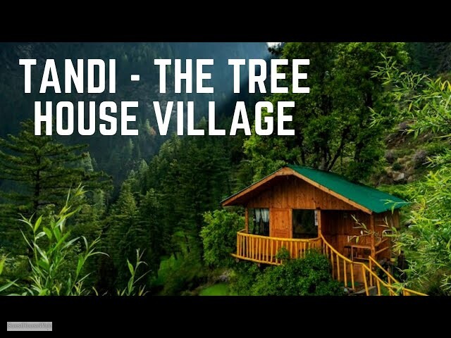 Whispering Pines Cottages |Treehouse | Tandi