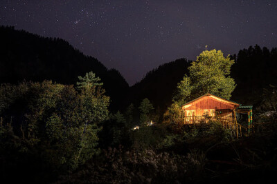 Whispering Pines Cottages |Treehouse | Tandi-18