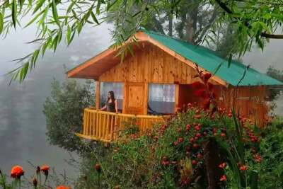 Whispering Pines Cottages |Treehouse | Tandi
