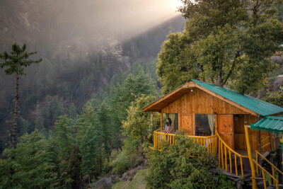 Whispering Pines Cottages |Treehouse | Tandi-4