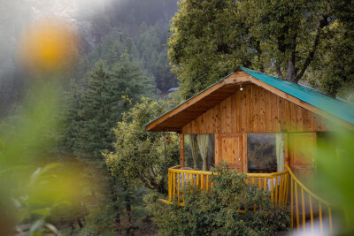Whispering Pines Cottages |Treehouse | Tandi-3
