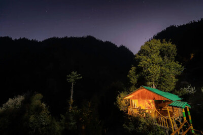 Whispering Pines Cottages |Treehouse | Tandi-6