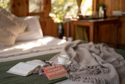 Whispering Pines Cottages |Treehouse | Tandi-10