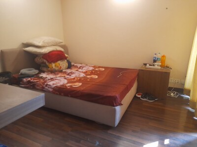1bhk flat paras tierea Noida