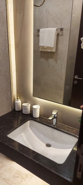 3BHK Premium location senter noida-6